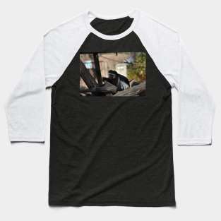 Colobus Monkey Baseball T-Shirt